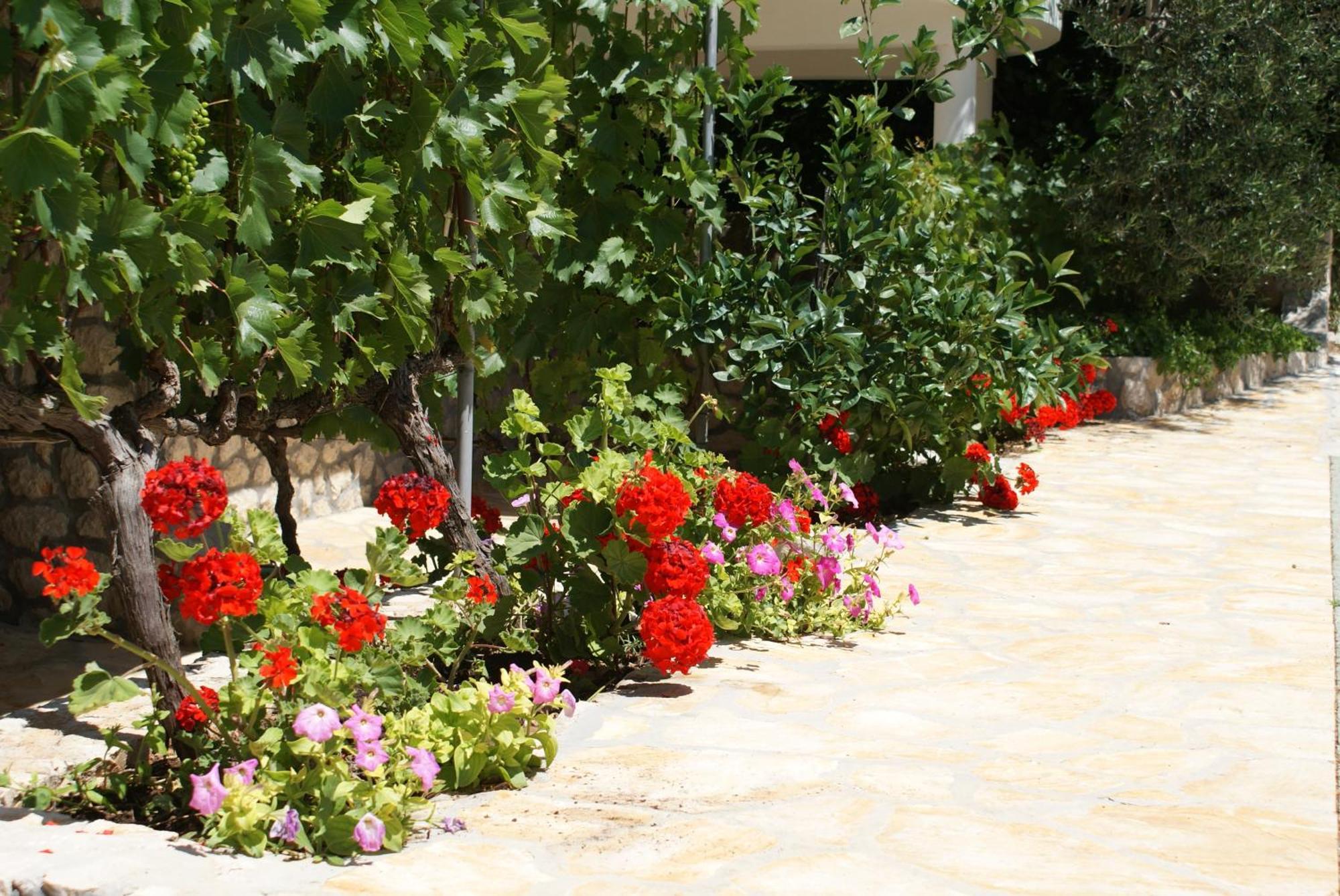פטרצ'אנה Apartments Jurjevic מראה חיצוני תמונה